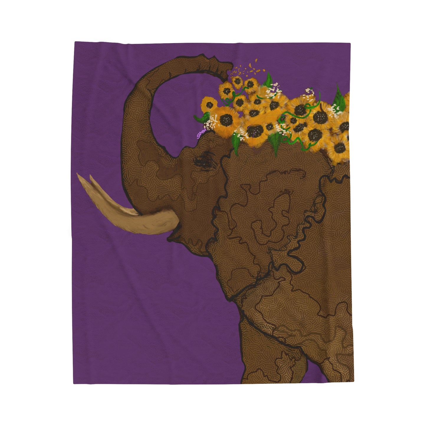 Bold Plush Blanket