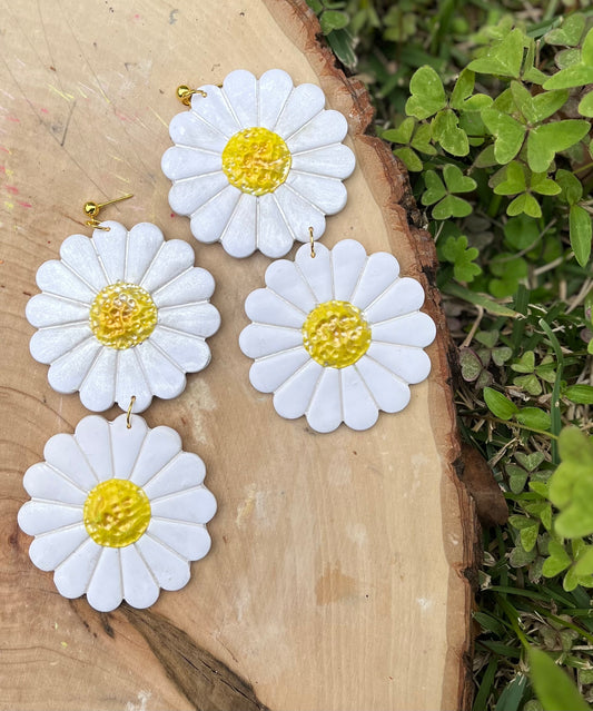 Daisy